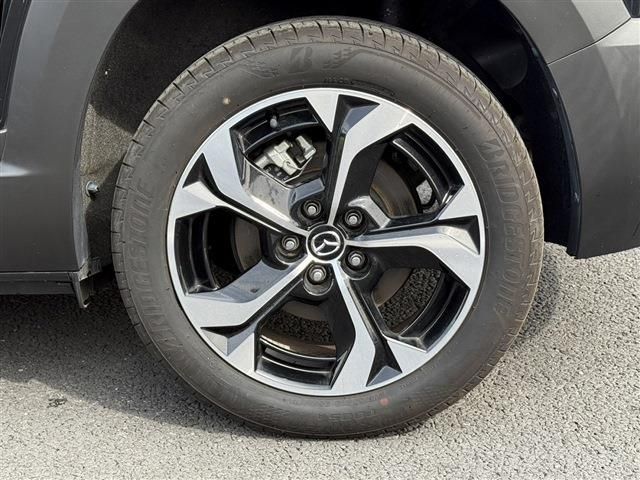 MX-30 Rotary-EV