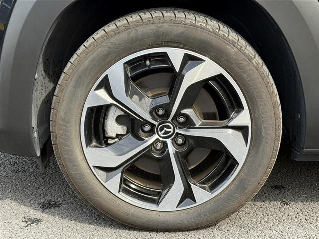 MX-30 Rotary-EV