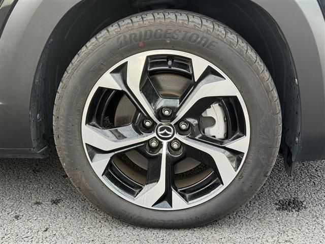 MX-30 Rotary-EV