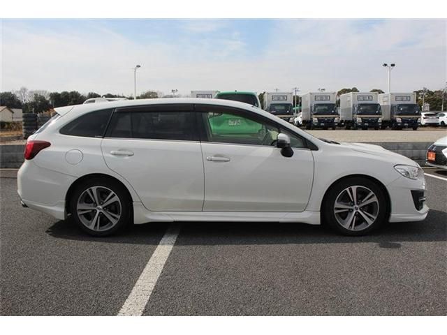 LEVORG