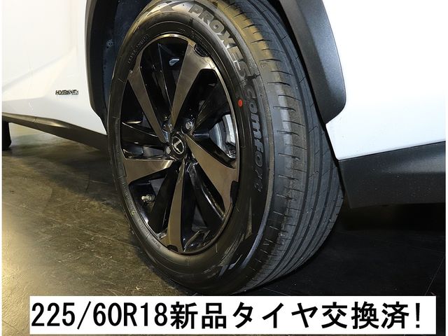 LEXUS NX300h