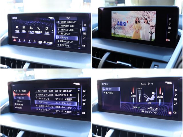LEXUS NX300h