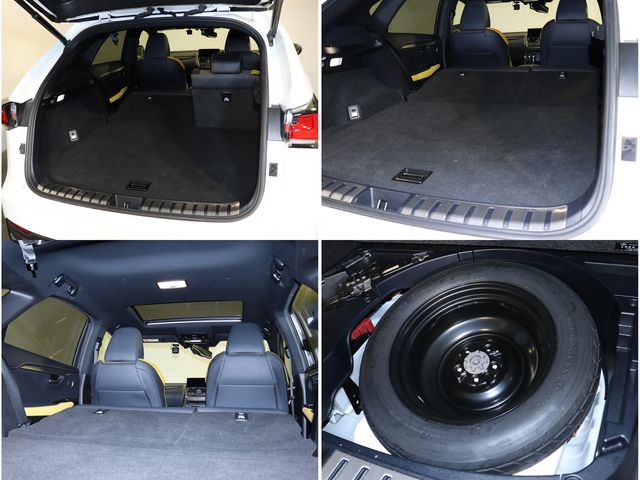 LEXUS NX300h