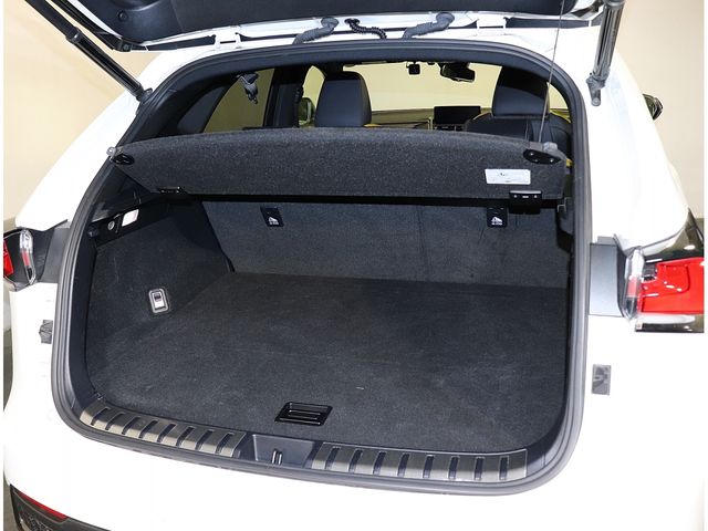 LEXUS NX300h