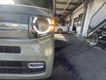 N-VAN