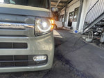 N-VAN