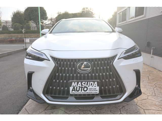 LEXUS NX350h
