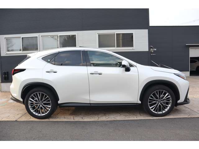 LEXUS NX350h