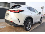 LEXUS NX350h