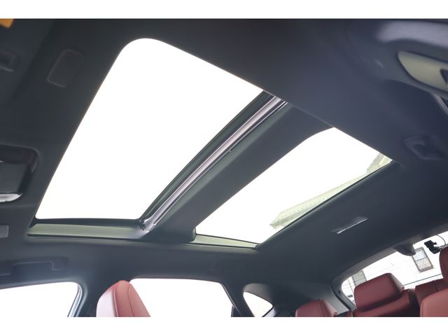 LEXUS NX350h