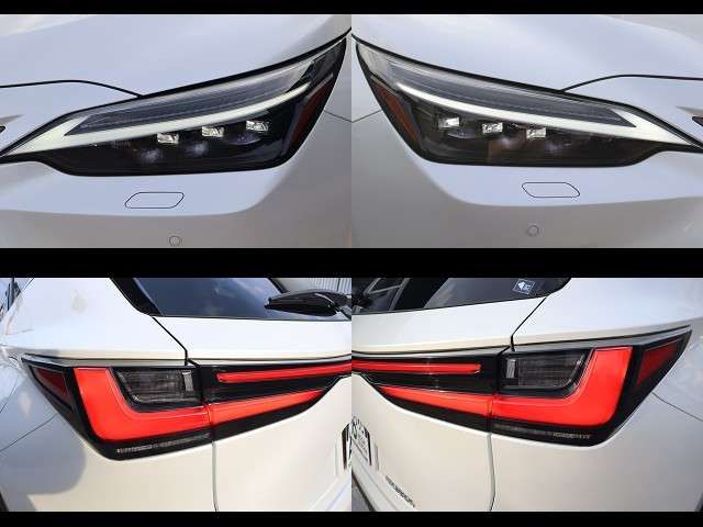 LEXUS NX350h