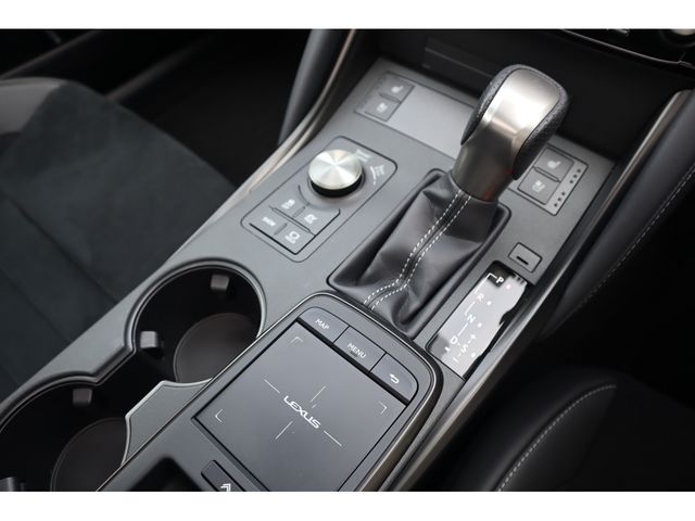 LEXUS IS300h