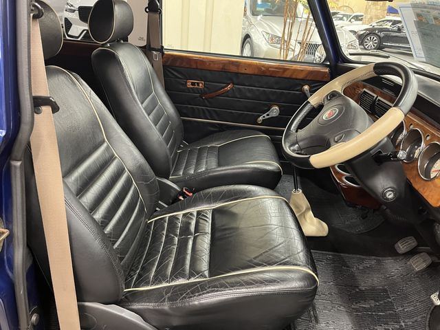 ROVER MINI