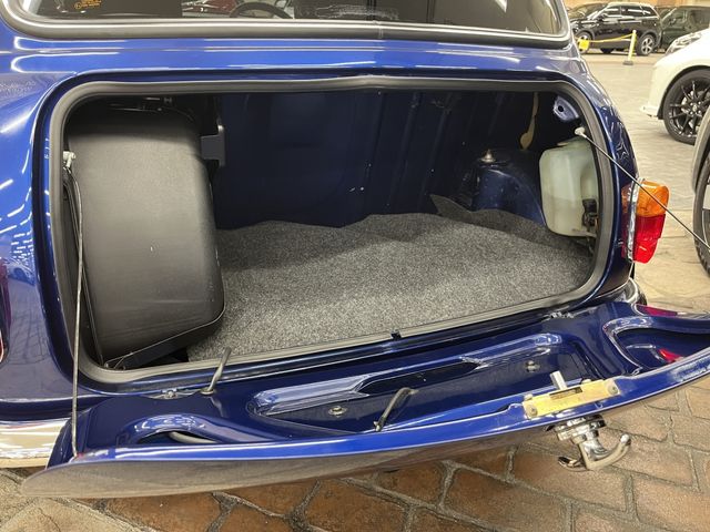 ROVER MINI