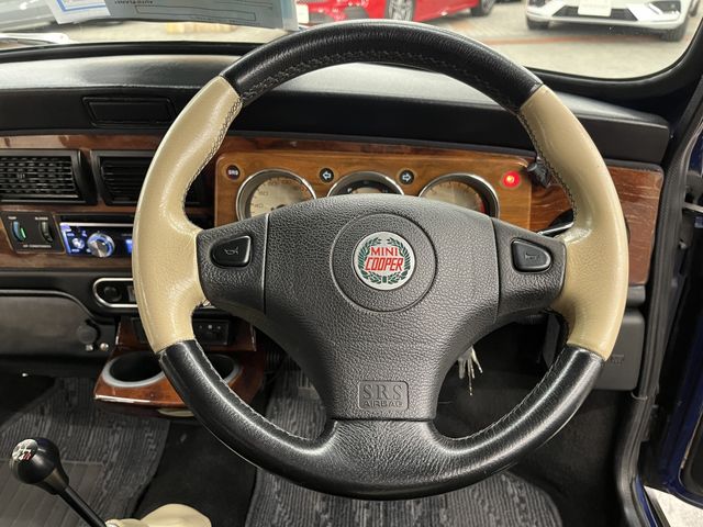 ROVER MINI