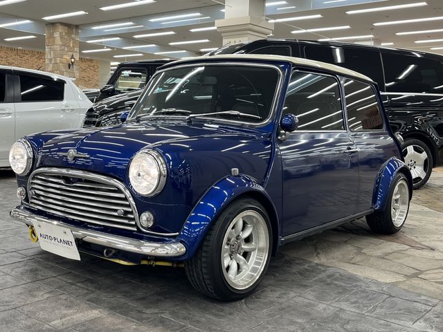 ROVER MINI