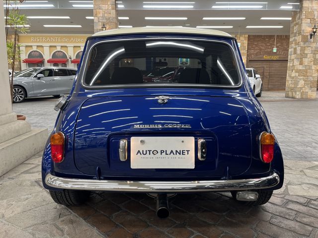 ROVER MINI