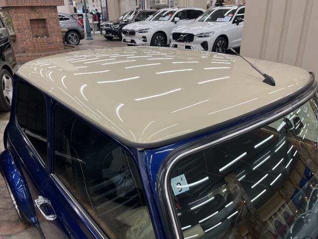 ROVER MINI