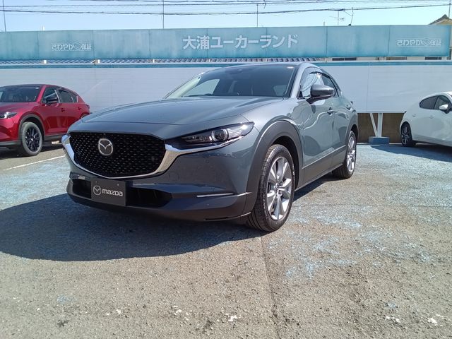CX-30