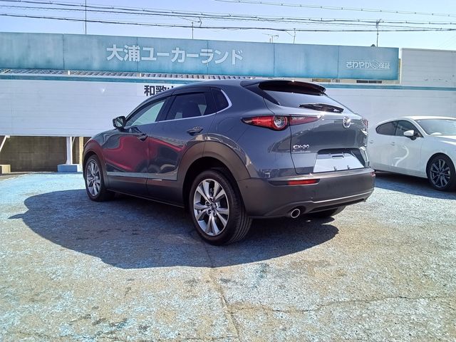 CX-30