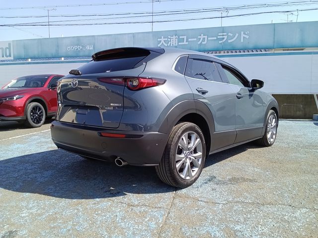 CX-30