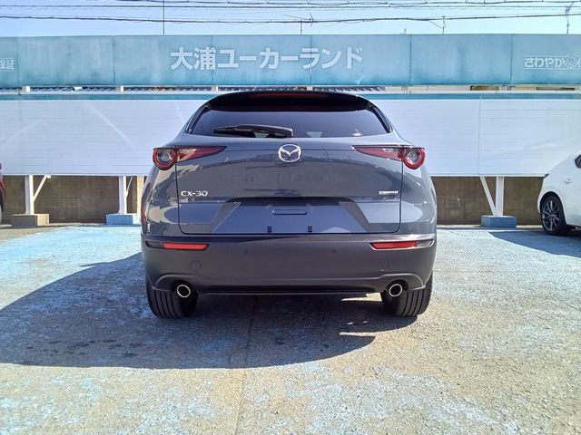 CX-30