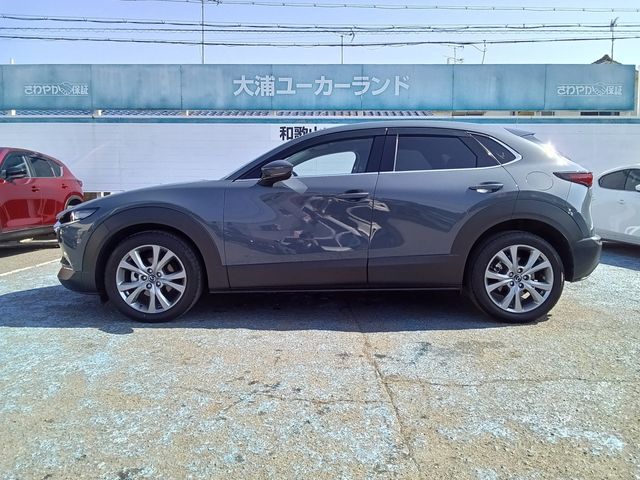 CX-30