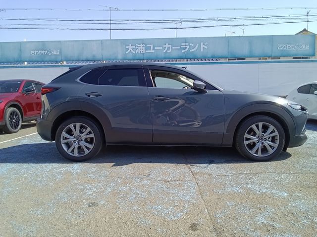 CX-30