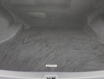 LEXUS HS250h