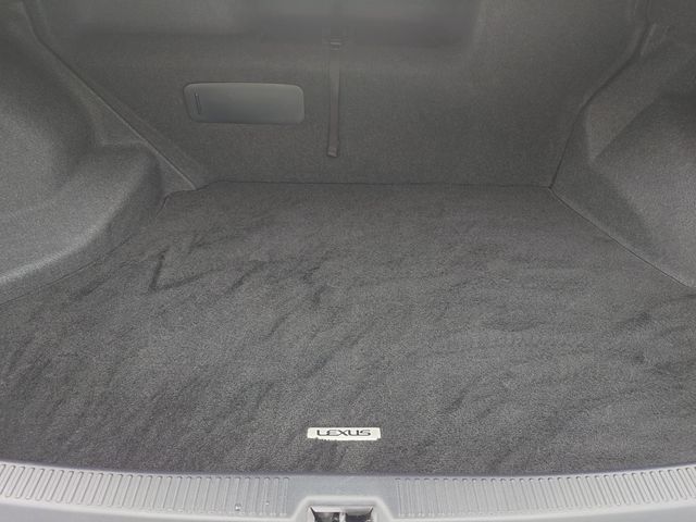 LEXUS HS250h