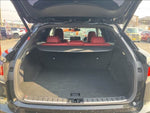 LEXUS RX300