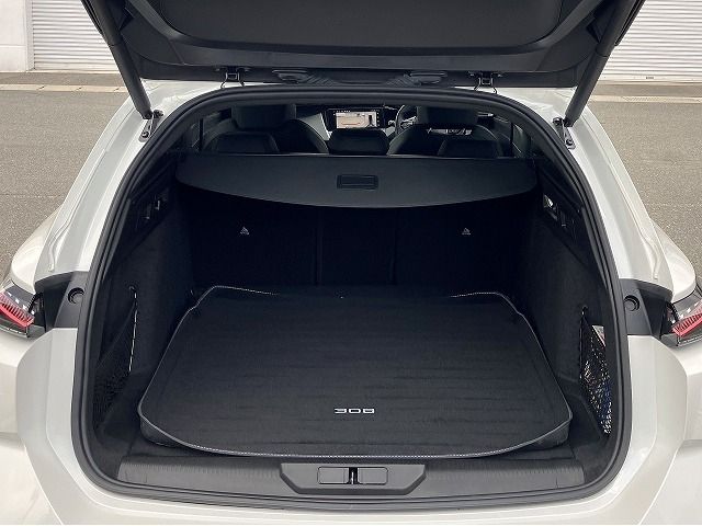 PEUGEOT 308SW