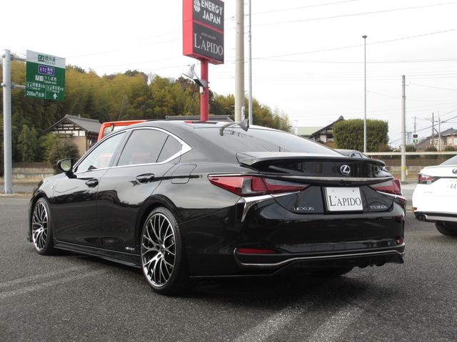 LEXUS ES300h