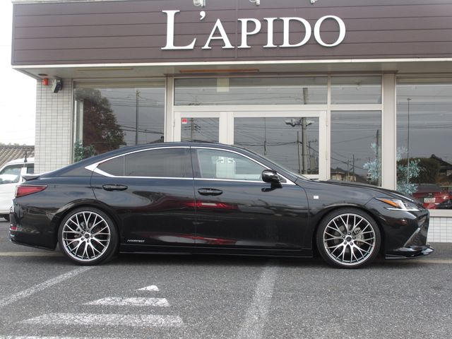 LEXUS ES300h