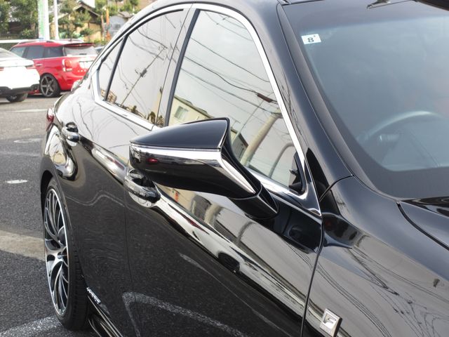 LEXUS ES300h