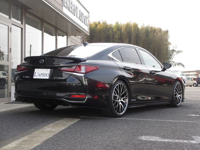 LEXUS ES300h