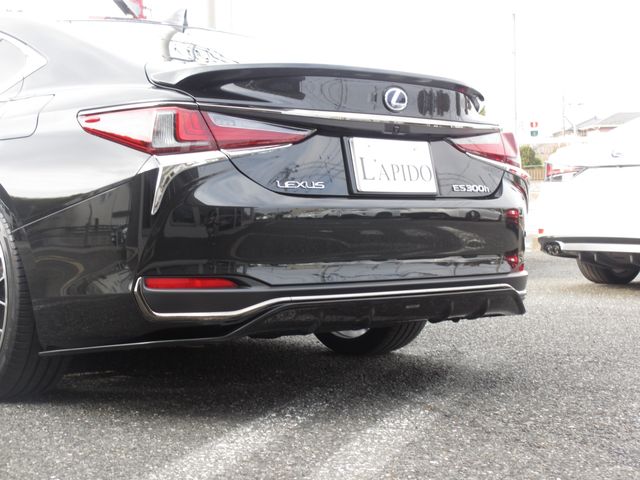 LEXUS ES300h