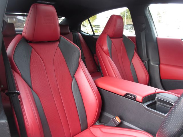 LEXUS ES300h
