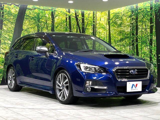LEVORG