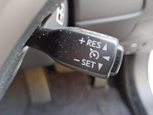 LEXUS GS300h