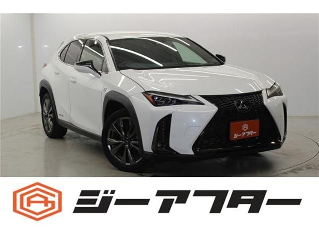 LEXUS UX250h