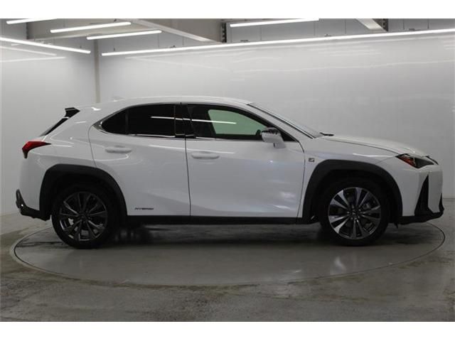LEXUS UX250h