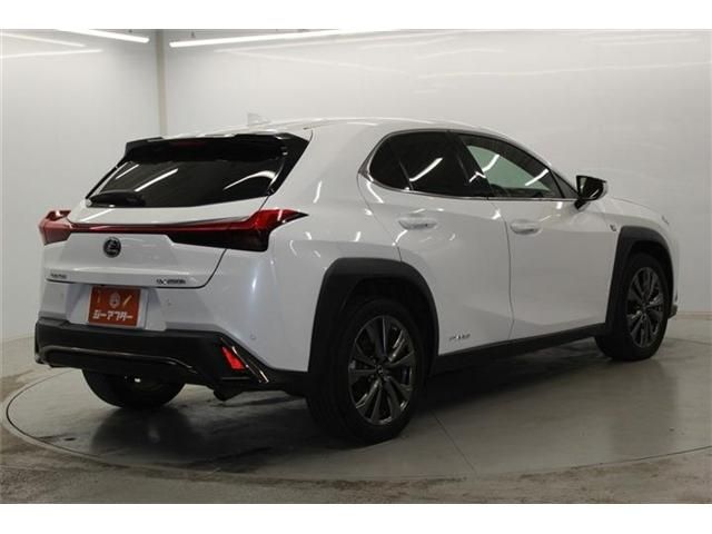 LEXUS UX250h