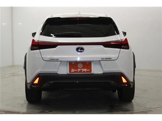 LEXUS UX250h