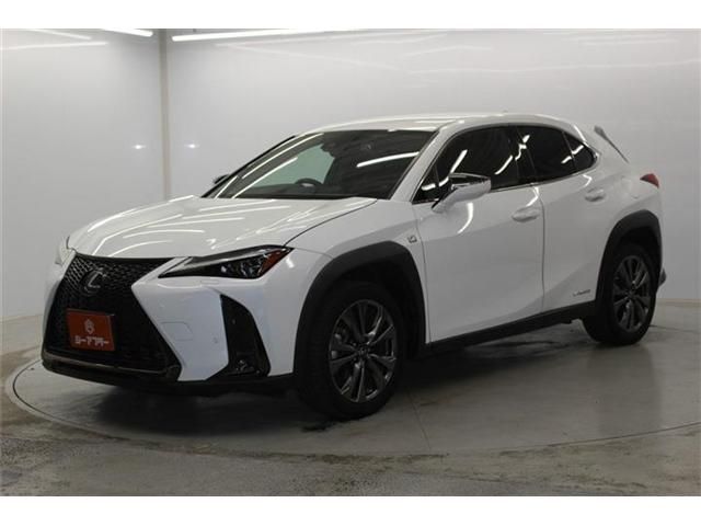 LEXUS UX250h