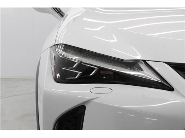 LEXUS UX250h