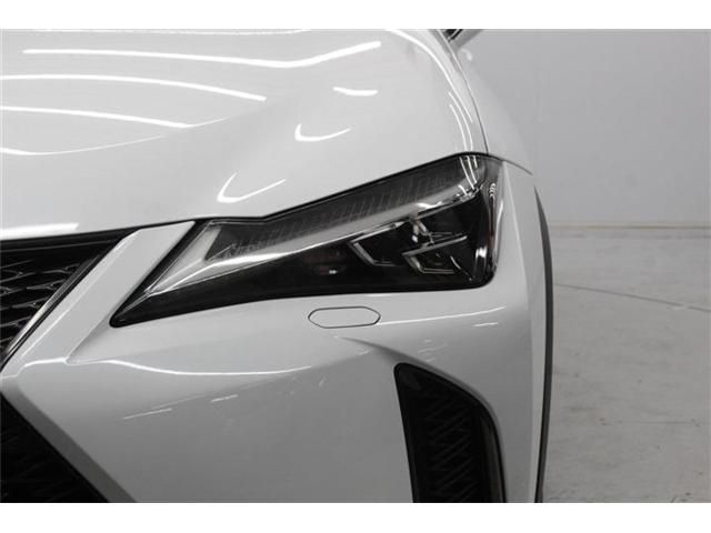 LEXUS UX250h