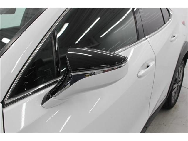 LEXUS UX250h