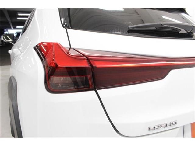 LEXUS UX250h