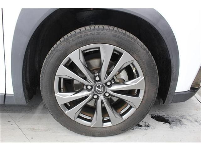 LEXUS UX250h